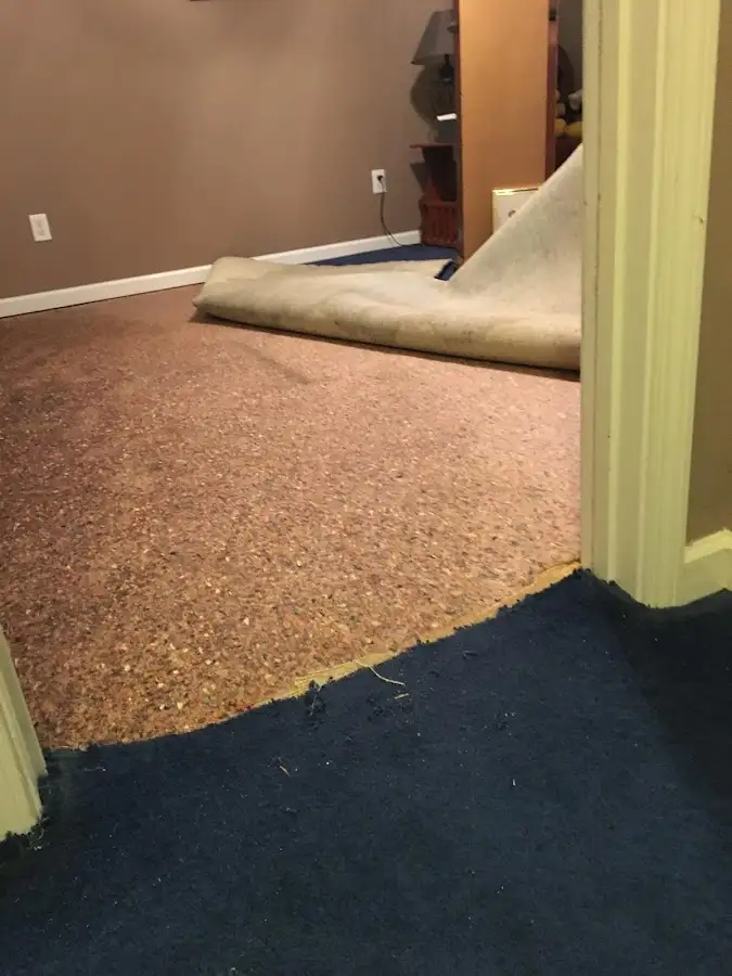Carpet pad removal revealing water damage during Drying & Dehumidification in Tavares