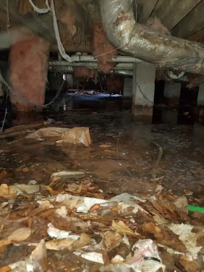 Crawl space flood assessment for Leak Detection & Repair in Tavares