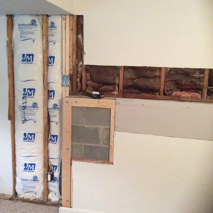Wall insulation replacement during Basement Flood Cleanup in Tavares